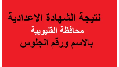 استعلم من هنا.. رابط استخراج نتائج الشهادة الإعدادية محافظة القليوبيه 2024 بالاسم ورقم الجلوس