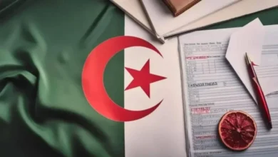 الآن!! Resultat.. رآبط نتائج المراسلة 2024 عبر onefd edu dz resultat برقم التسجيل موقع الديوان الوطني للتعليم والتكوين عن بٌعد