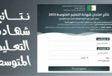 الجزائر تُفرح طلابها بالنتائج: رابط الاستعلام عن نتائج البيام بالجزائر 2024 عبر الرابط الرسمي للوزراة