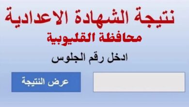 بالاسم ورقم الجلوس.. خطوات الاستعلام عن نتيجة الشهادة الإعدادية محافظة القليوبية الترم التاني 2024