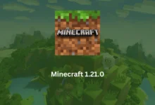 حمل سكنات ماين كرافت 2024 Minecraft الجديدة كليًا وقفل اللعبة