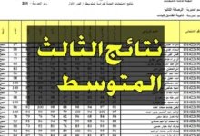 “رابط موقع ناجح”.. نتائج الثالث متوسط 2024 موقع ناجح دور اول بالاسم ورقم الجلوس naajh.com