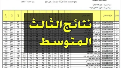 “رابط موقع ناجح”.. نتائج الثالث متوسط 2024 موقع ناجح دور اول بالاسم ورقم الجلوس naajh.com