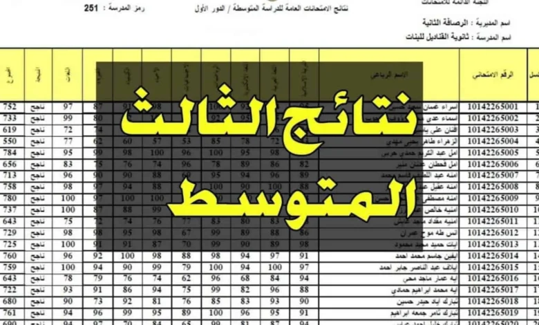 “رابط موقع ناجح”.. نتائج الثالث متوسط 2024 موقع ناجح دور اول بالاسم ورقم الجلوس naajh.com