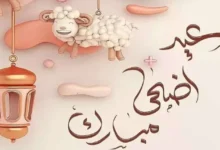 ”رسميا” موعد اجازة عيد الاضحي في سلطنة عمان 2024 ومعرفة مواعيد العطل الرسمية في الدولة