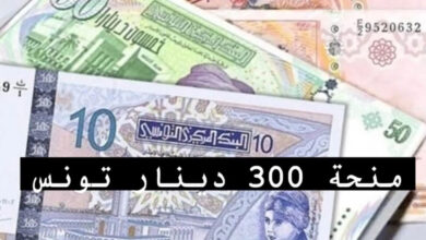 سجل وهتاخد 300 دينار قبل العيد.. خطوات التسجيل في منحة 300 دينار 2024 تونس وأهم الشروط المطلوبة للتسجيل