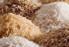 سعر الأرز الشعير اليوم السبت 22 يونيو 2024 في جميع الاسواق المحلية