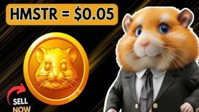 شرح كيفية سحب الأموال من بوت الهامستر Hamster Kombat لجميع الدول 2024 طريقة سحب عملة Hamster