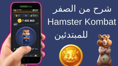 شرح لعبة Hamster Kombat بوت هامستر تيلجرام.. طريقة الربح وكيفية سحب العملات المشفرة
