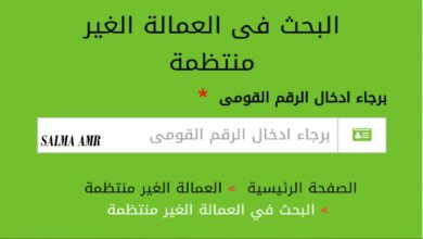 وزارة القوى العاملة توضح خطوات التسجيل في منحة العمالة الغير منتظمة 2024 وأهم شروط الحصول على المنحة