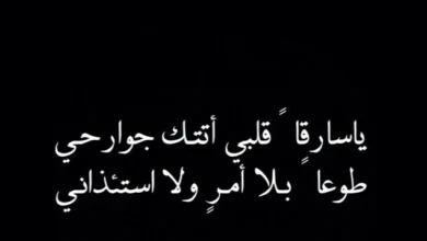 أجمل الأبيات .. شعر عنترة بن شداد عن الحب +10 قصائد عنترة بن شداد