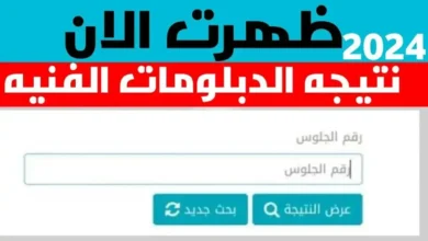 استعلم من هنا.. رابط نتيجة دبلوم تجارة 2024 عبر بوابة التعليم الفني الالكترونية (نتيجة دبلوم تجاره) الدور الاول