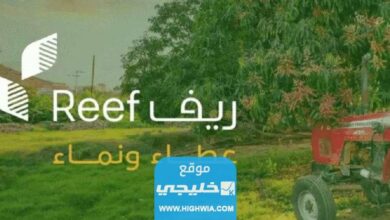 الاستعلام عن دعم ريف برقم الهوية عبر النفاذ الوطني reefgovsa