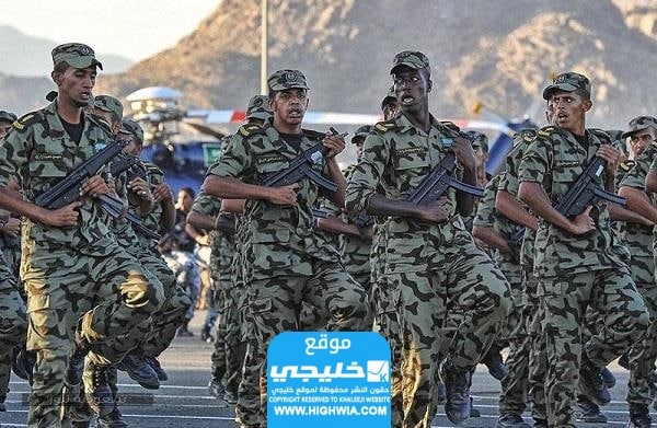 الاستعلام نتائج القبول في الكليات العسكرية في السعودية 1446 بالخطوات