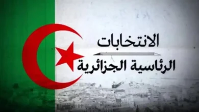 الخطوات بالكامل.. كيفية التسجيل للعمل في الانتخابات الرئاسية بالجزائر 2024 والشروط المطلوبة