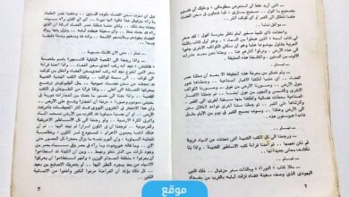 تحميل كتاب الذين عادوا الى السماء pdf تأليف أنيس منصور