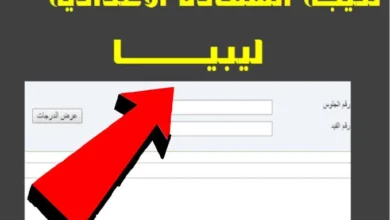 ظهرت الآن رابط نتيجة الشهادة الإعدادية في ليبيا 2024 moegovly