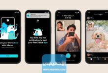 ما هو الفرق بين تيك توك وتيك توك الان TikTok