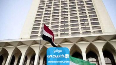 متى تنتهي مبادرة تسوية الموقف التجنيدي في الخارج