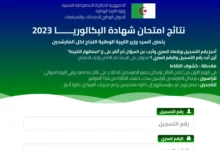 موعد نتائج بكالوريا 2024 الجزائر ورابط bem.onec.dz الاستعلام عن النتيجة عبر موقع الديوان الوطني