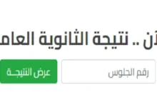 موعد نتيجة الثانوية العامة 2024.. وزارة التعليم تكشف أخر المستجدات ورابط الاستعلام عن النتيجة فور ظهورها