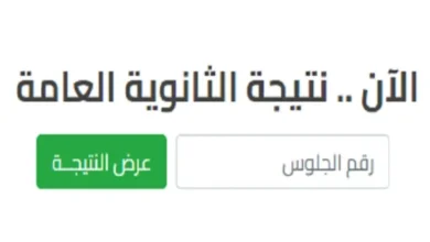 موعد نتيجة الثانوية العامة 2024.. وزارة التعليم تكشف أخر المستجدات ورابط الاستعلام عن النتيجة فور ظهورها