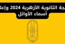 موقع نتيجة الثانوية العامة 2024 “اعرف نتيجتك باسمك ورقم جلوسك هنا natega4dk”