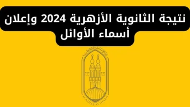 موقع نتيجة الثانوية العامة 2024 “اعرف نتيجتك باسمك ورقم جلوسك هنا natega4dk”