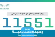 نتائج الوظائف التعليمية 1445 الاستعلام عن اسماء المرشحين في الوظائف