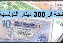 social.gov.tn تقديم منحة 300 دينار تونس 2024 والشروط اللازمة للقبول