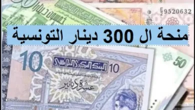 social.gov.tn تقديم منحة 300 دينار تونس 2024 والشروط اللازمة للقبول