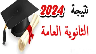 الإعلان عن أوائل الثانوية العامة 2024 وكيفية الاستعلام عن النتيجة بالخطوات.. الوزارة توضح