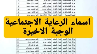 رابط الاستعلام عن اسماء المشمولين بالرعاية الاجتماعية الوجبة الأخيرة 2024 عموم المحافظات العراقية