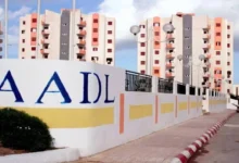 الان www.aadl.com رابط الاستعلام عن المقبولين في سكنات عدل 3 المرحلة الأولى