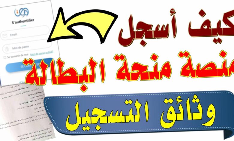 كل ما تحتاج معرفته عن التجديد والشروط المستحدثة.. خطوات تجديد منحة البطالة في الجزائر 2024 - جمال المرأة