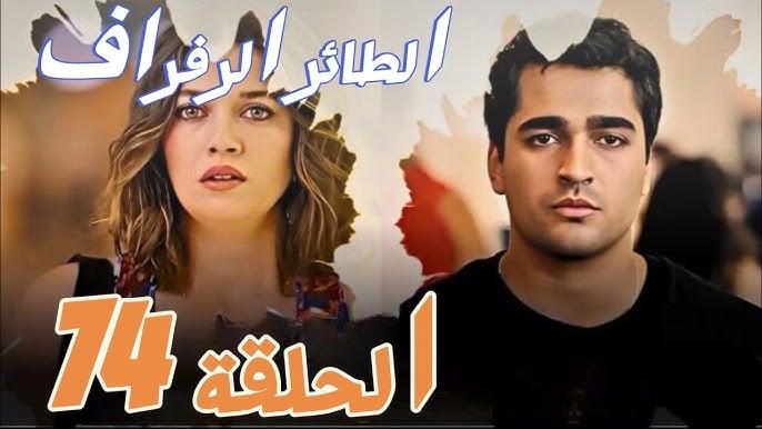 مشاهدة مسلسل الطائر الرفراف الحلقة 74 الموسم الثالث مترجمة كاملة