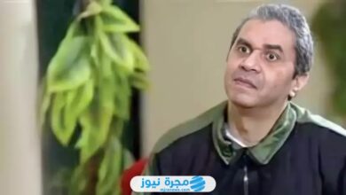 من هو الفنان عمرو محمد علي ويكيبيديا السيرة الذاتية