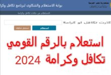 الاستعلام عن تكافل وكرامة 2024 باستخدام الرقم القومي عبر moss.gov.eg وموعد وأماكن الصرف - جمال المرأة