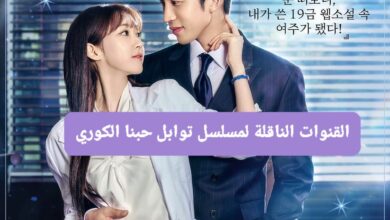 القنوات الناقلة لمسلسل توابل حبنا الكوري 2024 وموعد العرض