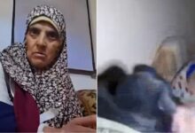 بالفيديو صادم كلب يهاجم امرأة فلسطينية لإجبارها للخروج من بيتها