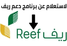 خطوات الاستعلام عن دعم ريف 1446 وماهي الشروط المطلوبة للتقديم reef.gov.sa