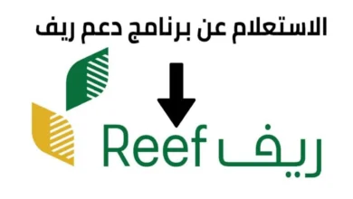 خطوات الاستعلام عن دعم ريف 1446 وماهي الشروط المطلوبة للتقديم reef.gov.sa