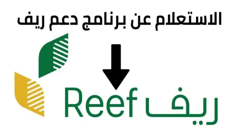 خطوات الاستعلام عن دعم ريف 1446 وماهي الشروط المطلوبة للتقديم reef.gov.sa