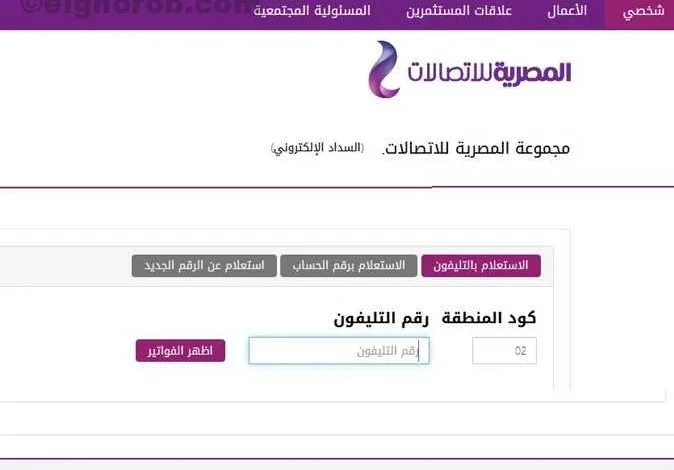 رابط الاستعلام عن فاتورة التليفون الارضي 2024 وكيفية سدادها بشكل إلكتروني - جمال المرأة