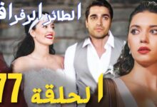 رابط مشاهدة مسلسل الطائر الرفراف الحلقة 77 كاملة بدقة عالية