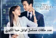 كم عدد حلقات مسلسل توابل حبنا الكوري 2024؟