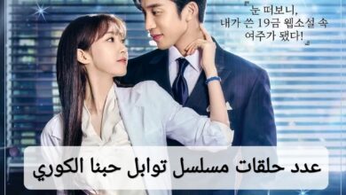 كم عدد حلقات مسلسل توابل حبنا الكوري 2024؟