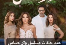 كم عدد حلقات مسلسل وتر حساس بطولة صبا مبارك؟