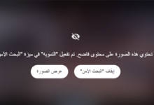 فضيحة المذيعة نورهان ابراهيم