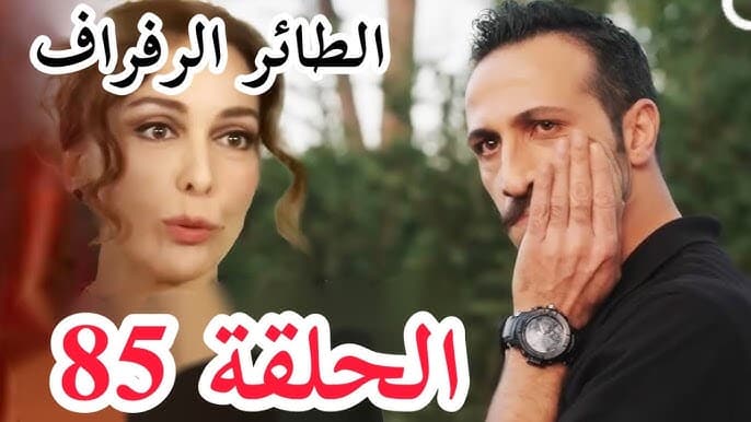 مشاهدة مسلسل الطائر الرفراف الحلقة 85 مترجمة كاملة بجودة HD